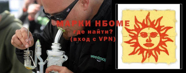хмурый Гусь-Хрустальный