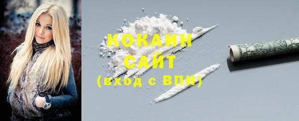 хмурый Гусь-Хрустальный