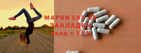хмурый Гусь-Хрустальный