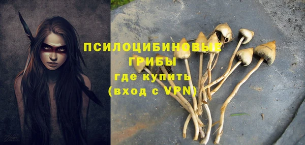 трава Гусев