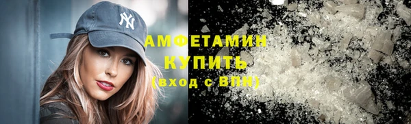 хмурый Гусь-Хрустальный