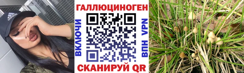 Галлюциногенные грибы мицелий  Купить  Евпатория 